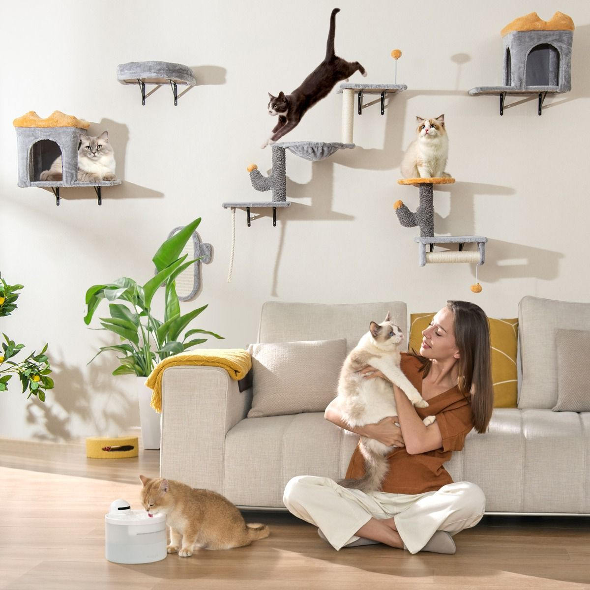 Conjunto de muebles para gatos montado en la pared