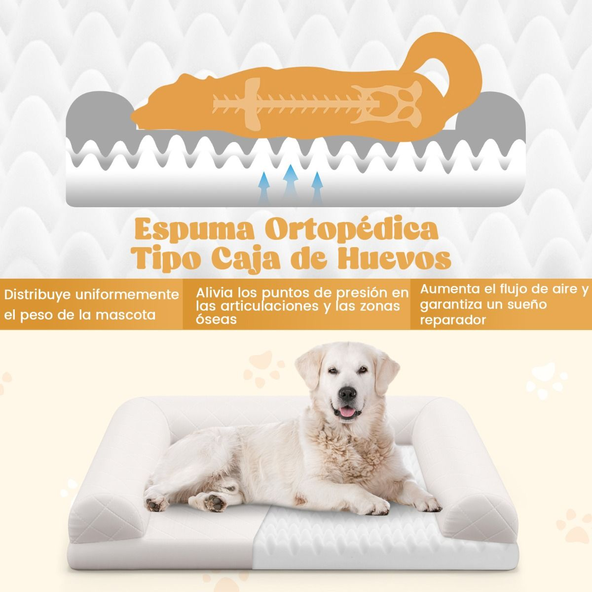 Cama ortopédica para perros pequeños y medianos - Imagen 5